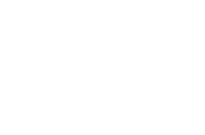 Logo blanco IDES sin HOJA(1)